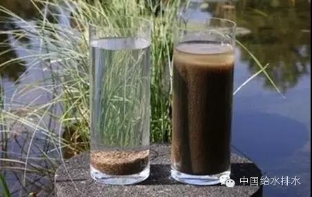 1565398011965297.jpg 2.jpg