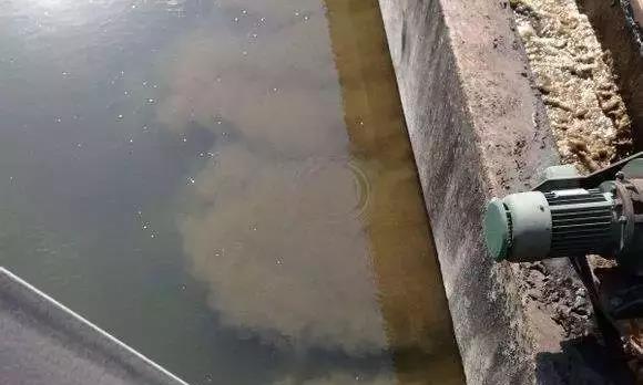 1567757872462507.jpg 7.jpg